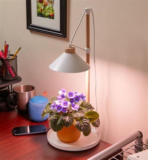 Magical gardening lamp for sale